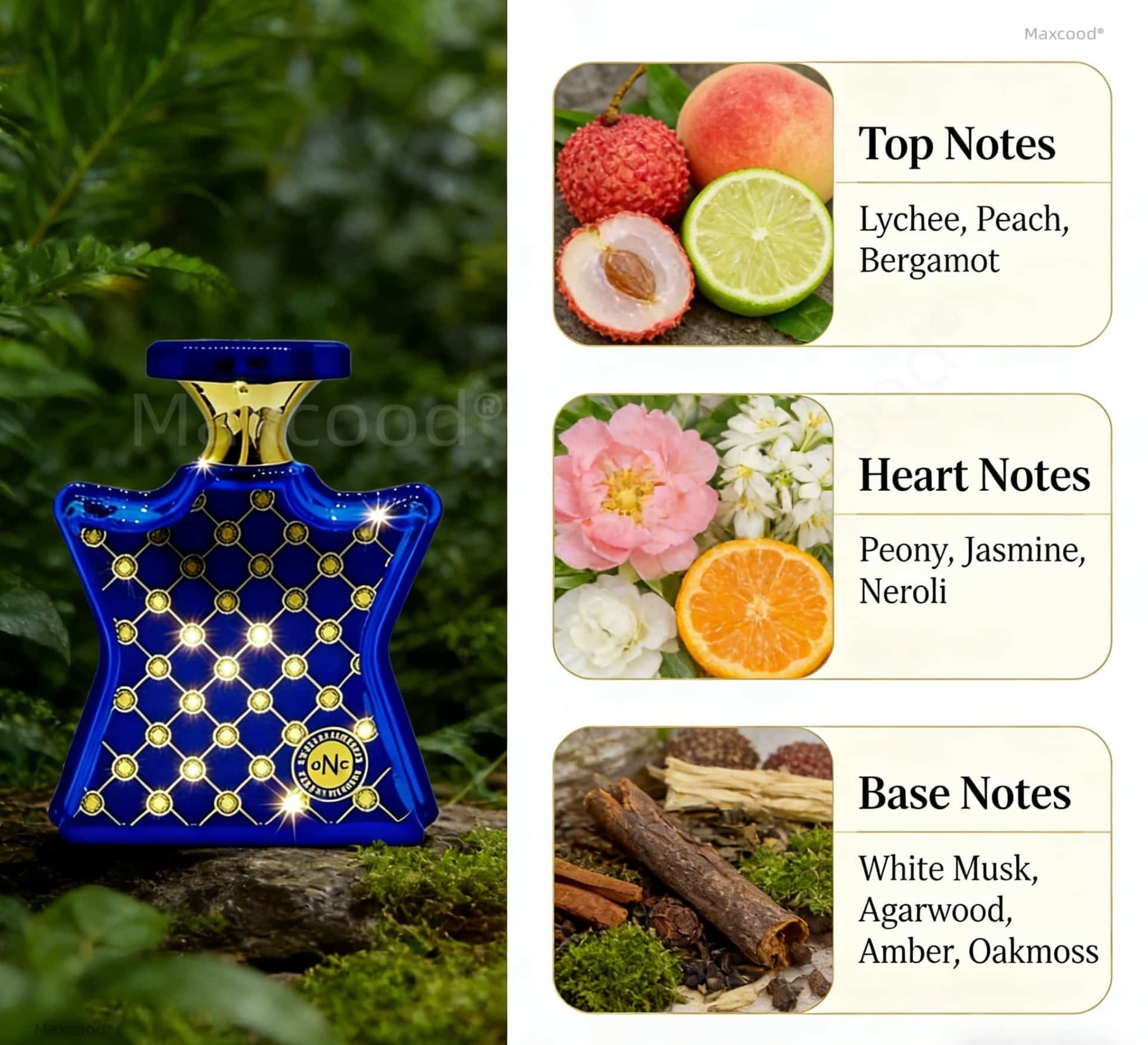 Citrus and Floral Perfume Long - đánh giá và giá Perfume Floral Fragrance